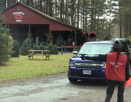 Green Friday? Christmas Tree Farms See the Long Lines on Black Friday that Stores Used to See